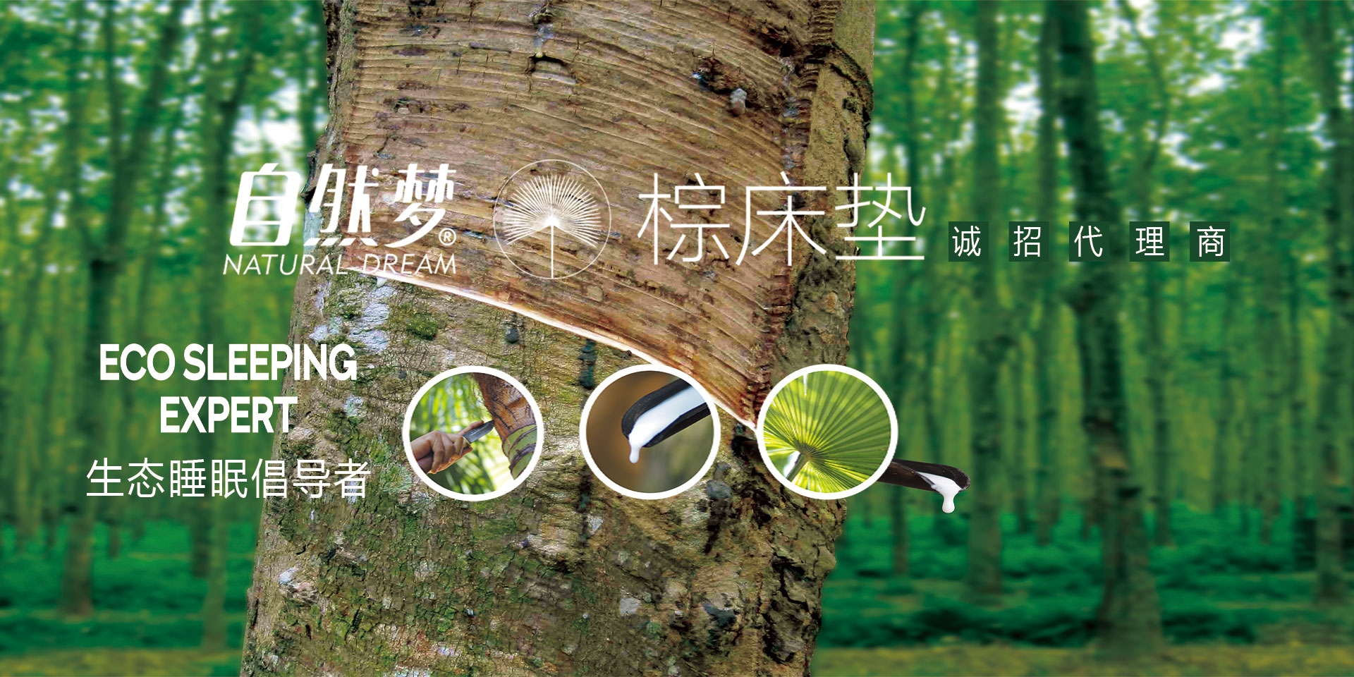 91香蕉APP成人污在线看