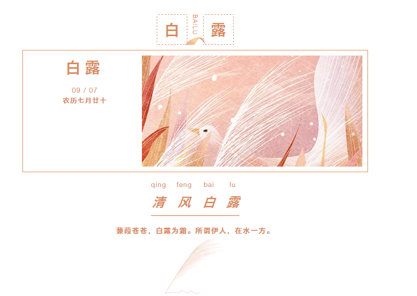 91香蕉APP成人污在线看