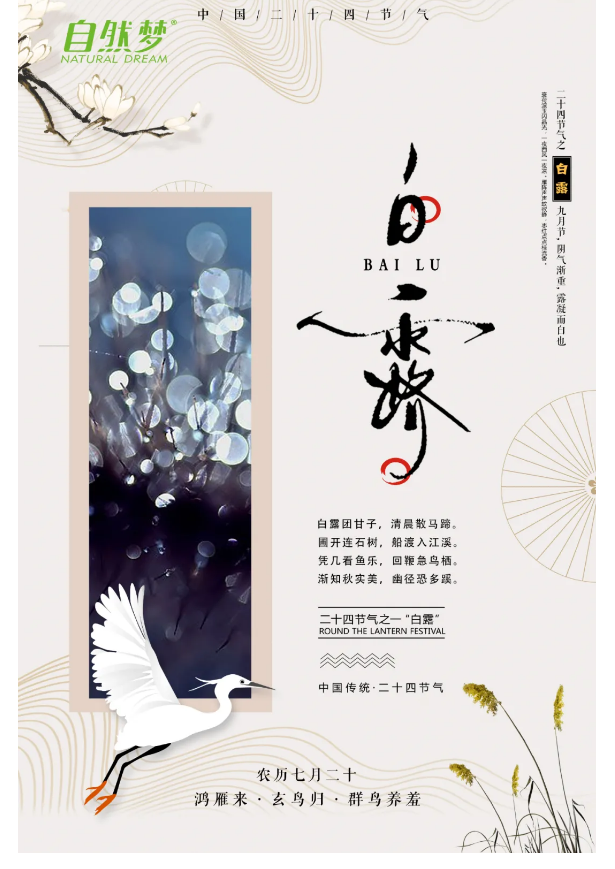 91香蕉APP成人污在线看床垫